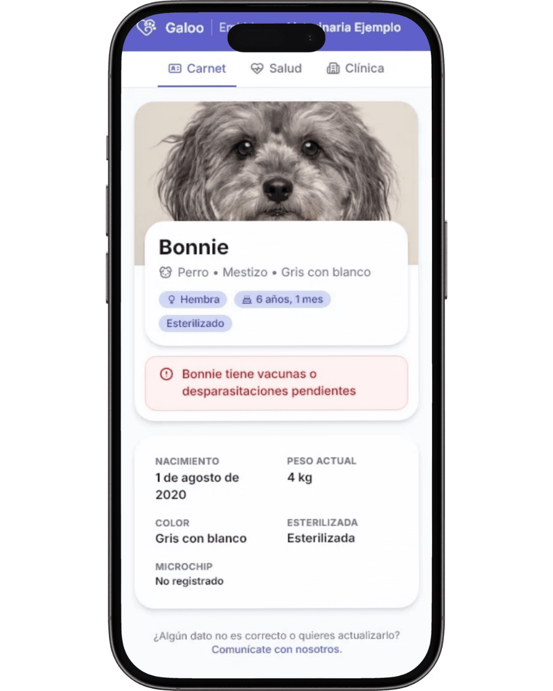 Carnet digital de Bonnie en un celular: datos, foto y aviso de vacunas o desparasitaciones pendientes